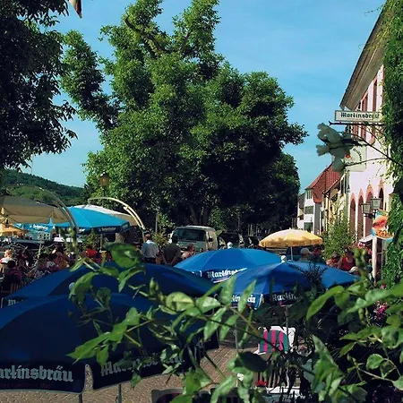 Omas-stubb-das-komfort-dz-mit-balkon-im-herrenhaus Διαμέρισμα *
